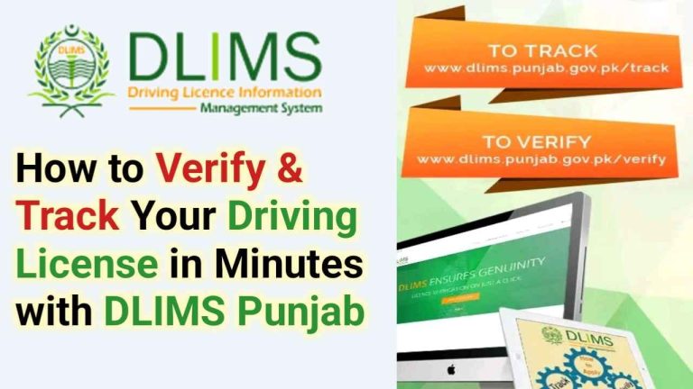 How to Verify & Track Your Punjab Driving License Online with DLIMS