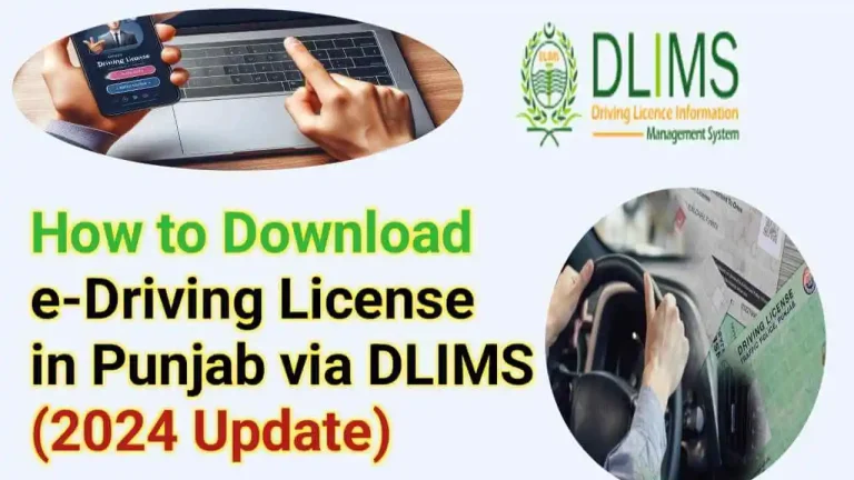 How to Download Your E-Driving License Online in Punjab(Fast & Easy Guide)