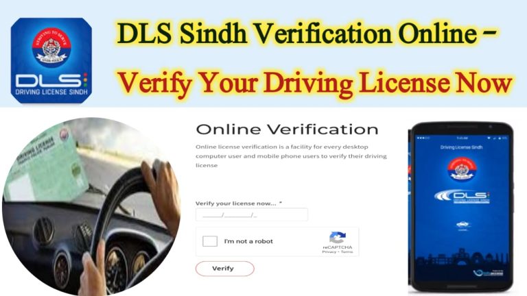 DLS Sindh  Verification Online – Verify Your Driving License Now